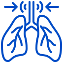 lungs